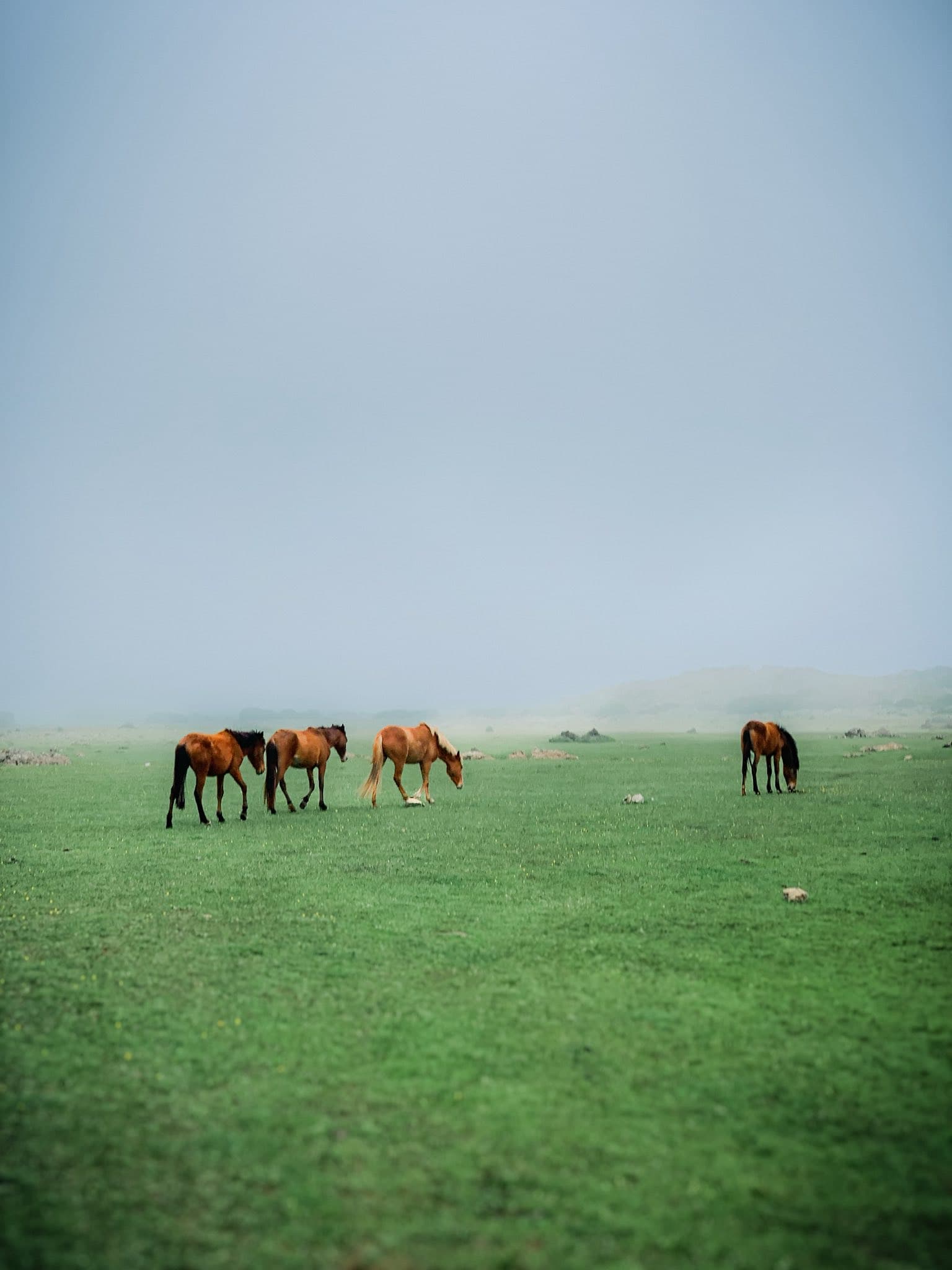 Green Rif mountains near Tetouan — Part 2